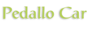 Pedallo Car