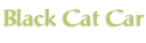Black Cat Car
