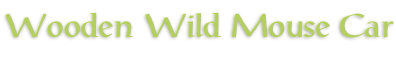 Wooden Wild Mouse Car