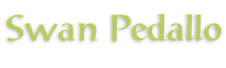 Swan Pedallo