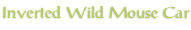 Inverted Wild Mouse Car