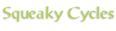 Squeaky Cycles