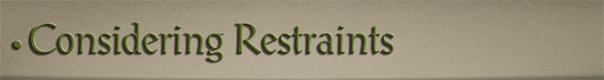 Sub-Header Text Image for FlightToAtlantis.net: How To's: The Ultimate CTR Creator: Considering Restraints