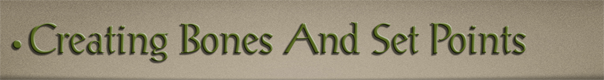 Sub-Header Text Image for FlightToAtlantis.net: How To's: The Ultimate CTR Creator: Creating Your Bones and Set Points
